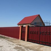 Ворота кованые фотография