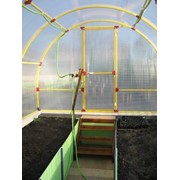 Теплицы промышленные фото