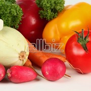 Овощи свежие,овощи оптом, Симпа-Фрут, доставка овощей и фруктов фотография