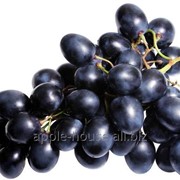 Виноград черный