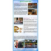 Плакат Дегустация вин Г.28 фото