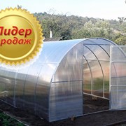 Усиленные теплицы из поликарбоната 4,6,8,10 м. Труба 25х25, 20х20, 40х20. Доставка по РБ. Арт: 5541 фото