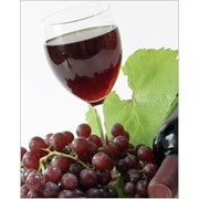 Концентрат виноградного сока (70 % BRIX) фотография
