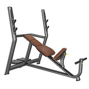 Профессиональный тренажер для зала скамья жим от груди положительный угол DHZ Fitness A819 фото