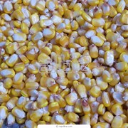 Семена кукурузы Сквира
