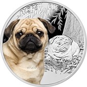 Мопс - Серебряная монета в футляре фото
