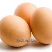 Яйцо отборной категории фото
