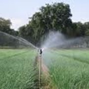 Системы орошения Naan Dan Jain (Израиль) фото