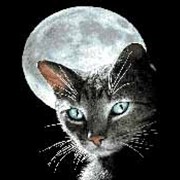 Панно Лунный кот