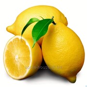 Лимоны ташкентские