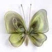 Бабочка средняя зеленая полосатая 19*13 см фото