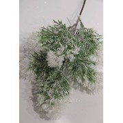 Ветка ёлки в снегу и инее маленькая фото