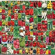 Пакетированные семена овощей фото