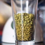 Хмель гранулированный для пива ароматный сорт Халлертауер Херсбруккер 6х50 гр. (6 шт в комплекте) фото