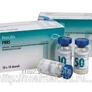Вакцина Порцилис PRRS 25 доз