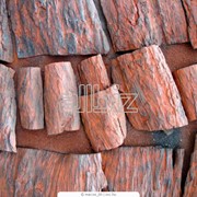 Лесомонтажные работы фото