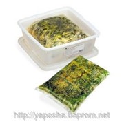 Салат из японских водорослей Хияши Вакамэ (SeaWeed) фото
