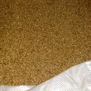 Семена пшеницы озимой -“Гром“, “Бригада“, “Этнос“, фото