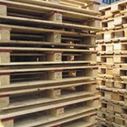 Ремонт поддона грузового деревянного 1200 мм х 800мм, (евростандарт) фото