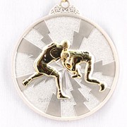 Медаль рельефная борьба - серебро фотография