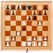 Магнитные демонстрационные шахматы (75х75 см) фото