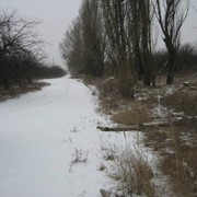 Белогородка участок 19 соток .р-н. Сады. Риелтор: Дима фото