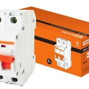 Автоматический выключатель ВА47-29 2Р 8А 4,5кА х-ка С TDM ELECTRIC SQ0206-0090 Авт. выкл.ВА47-29 2Р 8А 4,5кА х-ка С TDM фото