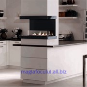 Биокамины Spartherm Ebios-fire C фото