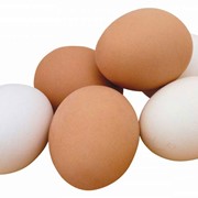 Яйца свежие С-1