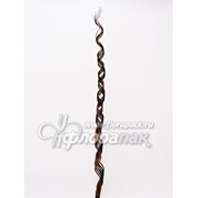 Лоза декор фото