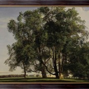 Картина Пейзаж около Пратера, Вальдмюллер ,Фердинанд Георг фотография