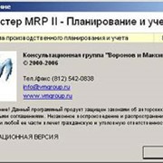 Программа Мастер MRP II