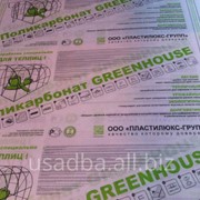 Сотовый поликарбонат Greenhouse 4мм*12м фотография