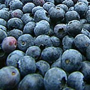 Черника, плоды (замороженные) фото