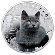 Британская кошка - Серебряная монета в футляре фото