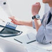 Проведение экологического аудита фото