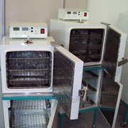Шкаф сухожаровой, стерилизатор воздушный ГП 20 фото