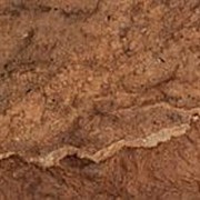 Настенная клеевая пробка Wicanders, Exotic, Horta (600 х 300 х 15 мм) упак. 1,44м2 фото