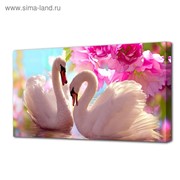 Картина на холсте “Лебеди в розовых цветах“ 50х100 см фото