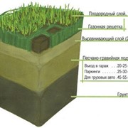Газонная трава приобрести