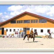 Манеж и тренировочная площадка для лошадей