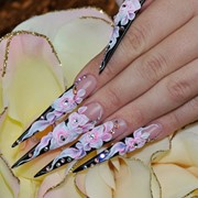 Наращивание ногтей: роспись, китайская роспись, лепка фото