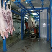 Монтаж оборудования для убоя и мясопереработки фото