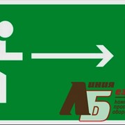 Знак код E03 Направление к эвакуационному выходу направо фото