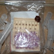 Система Апи-мини фото