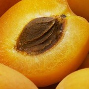 Масло абрикоса, рафинированное опт фото
