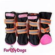 Обувь для собак Black/orange size 1 фотография