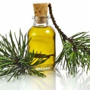 Siberian fir needle 100% natural product from Siberia