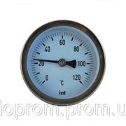 Биметаллические термометры Introl TB-063 L=45mm 0-120*С 1/2 фотография