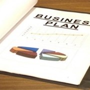 Разработка бизнес-планов в Алматы фото